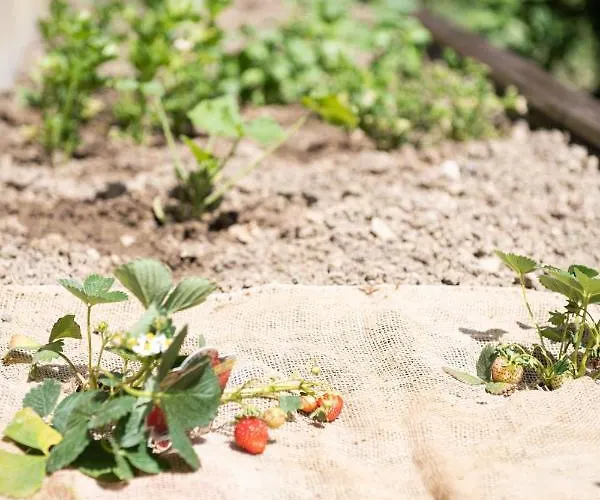 Apartamento Vrenjak 2